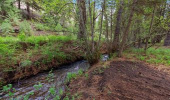 1155 Outback Trl, Alberton, MT 59820