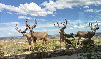 6502 6200 Kiva Ridge Dr, Berthoud, CO 80513