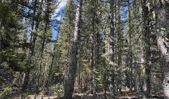 Lot 74 Happy Way, Angel Fire, NM 87710