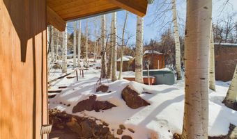 209 E Reds Rd, Aspen, CO 81611