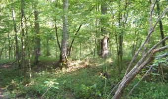 Mosley Road, Arkadelphia, AR 71923