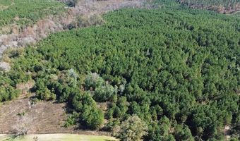 1228 River Rd, Ariton, AL 36311