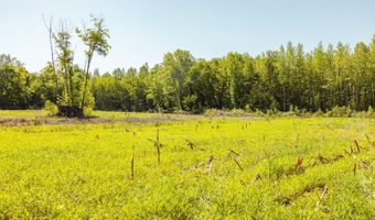 Beech Bluff Road, Beech Bluff, TN 38313