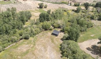 9885 Challis Creek Rd, Challis, ID 83226