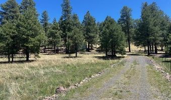 450 County Road 2104, Alpine, AZ 85920