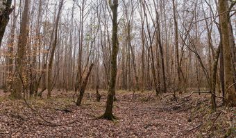 Maddox Road, Ackerman, MS 39735