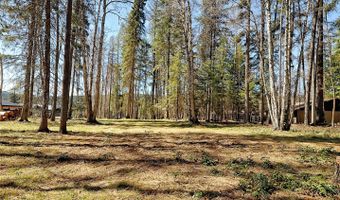 518 Eastman Dr, Bigfork, MT 59911