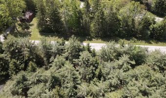LOT 2 E WEST RESORT ROAD, Alanson, MI 49706