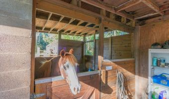 560 N LAKE PLEASANT Rd, Apopka, FL 32712