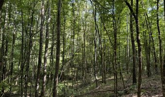 SW Auburn Drive, Bogue Chitto, MS 39629