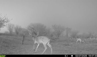 CR 119 lot 0, Alice, TX 78332