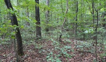 0 Carnes Chapel Rd, Attalla, AL 35954