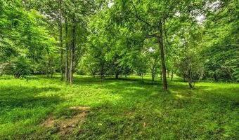Stone Ridge Drive, Andersonville, TN 37705