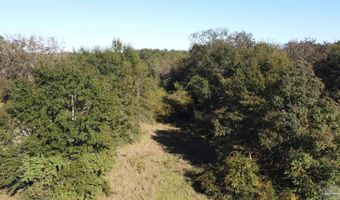 0 Cowpen Creek Rd, Atmore, AL 36502