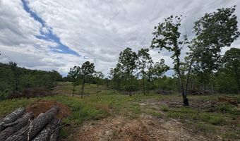 3968 HWY 167, Ash Flat, AR 72513