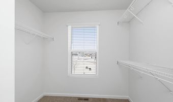 431 Douglas Dr S Plan: Hennepin II, Annandale, MN 55302