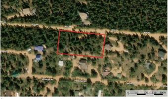 272 Wise Rd, Bailey, CO 80421