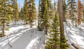 429 N Aoki Michi Rd, Brian Head, UT 84719