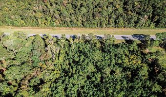 TBD State Rd 121, Alachua, FL 32615