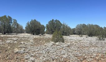 10 N2 Off Of Looking Glass, Ash Fork, AZ 86320