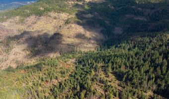 2829 Buckhorn Springs Rd, Ashland, OR 97520