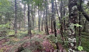 TBD Cable Lake, Amasa, MI 49903
