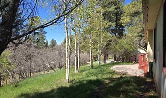 57 Pine Dr, Bayfield, CO 81122