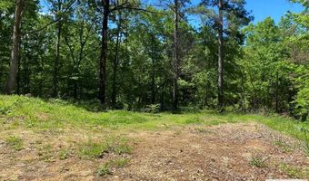 31 Catfish Dr, Big Sandy, TN 38221