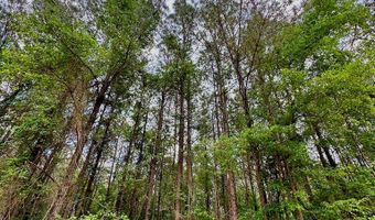 00 County Road 107, Ariton, AL 36311