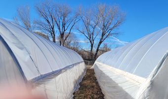 183 County Road 41, Alcalde, NM 87511