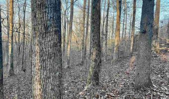 00007 SPRINGHOLLOW Rd Lot 7, Ashville, AL 35953