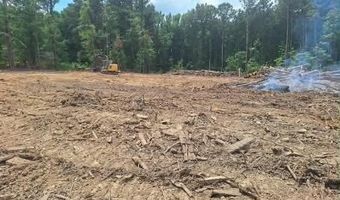 709 Old Pinola Braxton Rd, Braxton, MS 39044