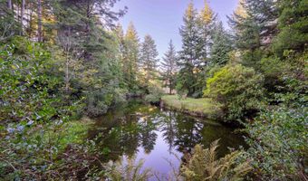 Trout Pond TL206 LN, Bandon, OR 97411