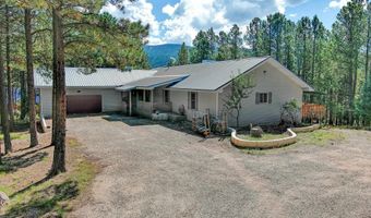 19 Conchas Dr, Angel Fire, NM 87710