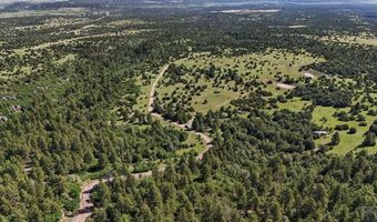 Old Homestead Ln, Beulah, CO 81023