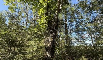 50 Acres Herron Rd, Alpena, MI 49707