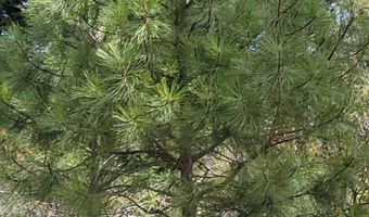 Tbd Tbd, Cambridge, ID 83610