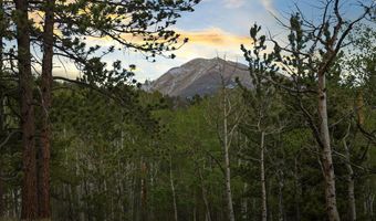 839 Ski Rd, Allenspark, CO 80510