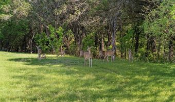 Lot 6 Rose Way, Aquilla, TX 76622