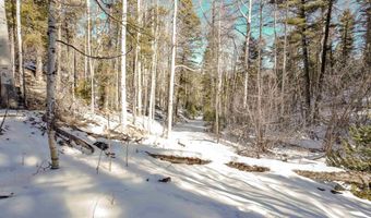 45 Sacramento Dr, Angel Fire, NM 87710