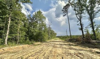 Ms-25, Brandon, MS 39047