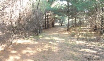 95 Acres Highway 13, Wisconsin Dells, WI 53965