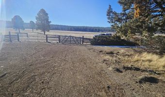 31747 Godowa Springs Rd, Beatty, OR 97621