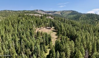 1710 Tower Mountain Rd, Blanchard, ID 83804