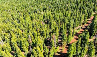 8735 Bering Rd, Alturas, CA 96101