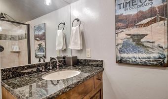 107 SKI WATCH Rd 432, Breckenridge, CO 80424
