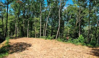 4 Black Rock Trl 4, Andrews, NC 28901