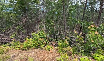 88 Acres Bolden Br, Andrews, NC 28901