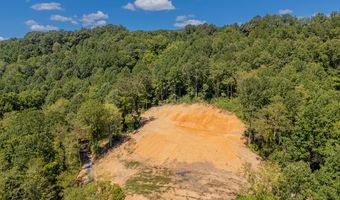 Lot 20 Clear Fork Creek Road, Bastian, VA 24314