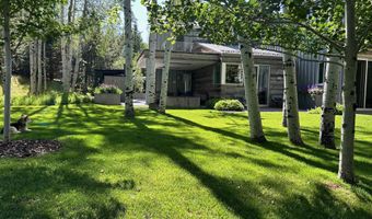 1180 Black Birch Dr, Aspen, CO 81611